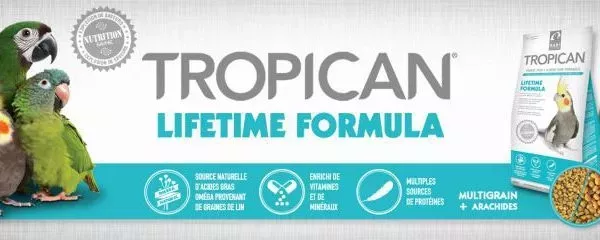 5-tropican-lifetime-revised-fr.webp