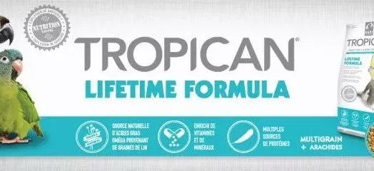 5-tropican-lifetime-revised-fr.webp