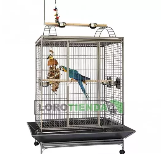 Cage Ara Perroquet