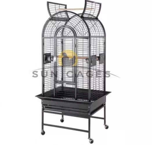 Cage Haiti Perroquet