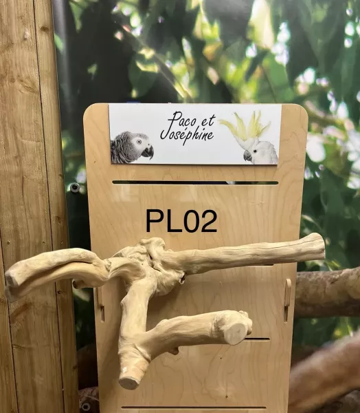 Perchoir branches de Java - Taille L