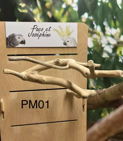 Perchoir branches de Java - Taille M