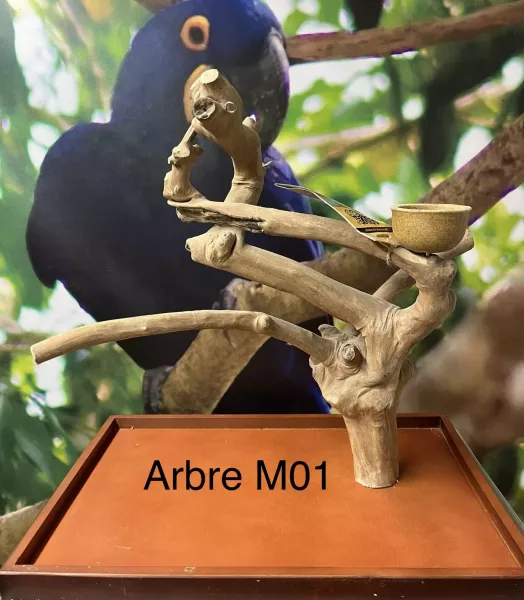 Arbre de Java M