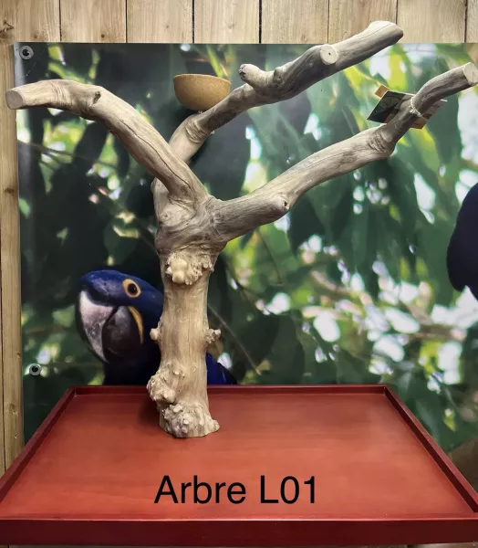 Arbre de Java L