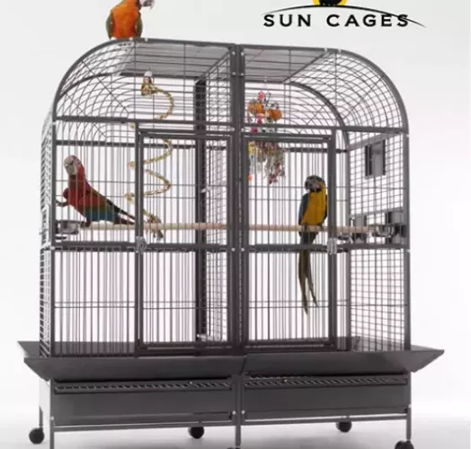 Cage Twin Ara Perroquet