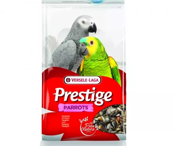 prestige-perroquets.webp